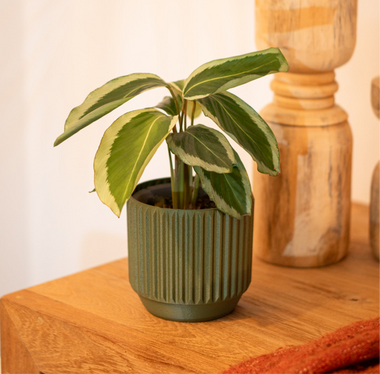 Astra Planter