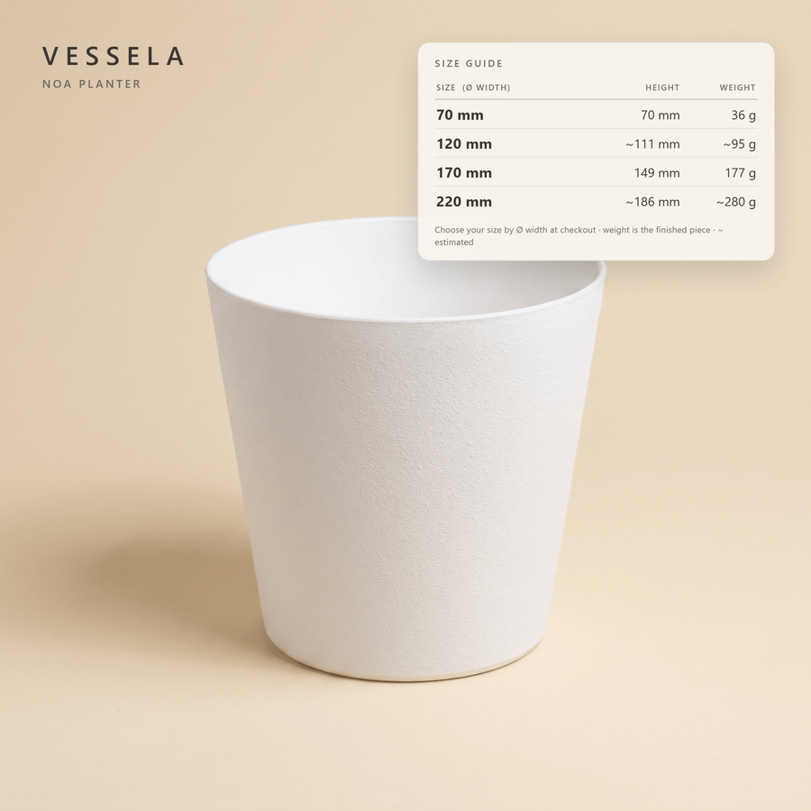 Noa Planter