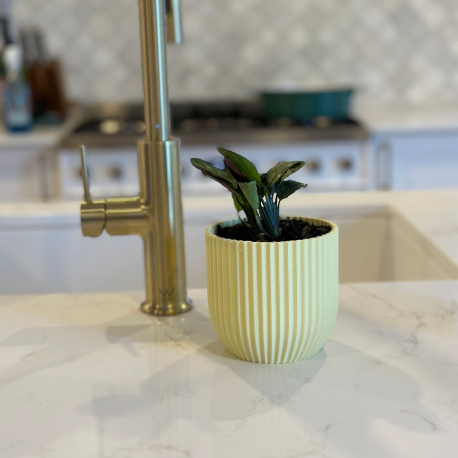 Rilla Planter