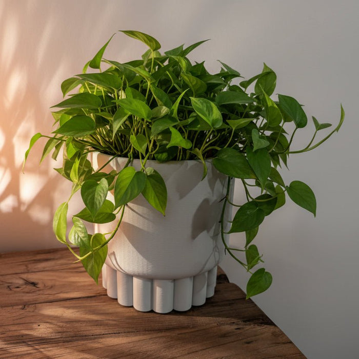 Bastion Planter