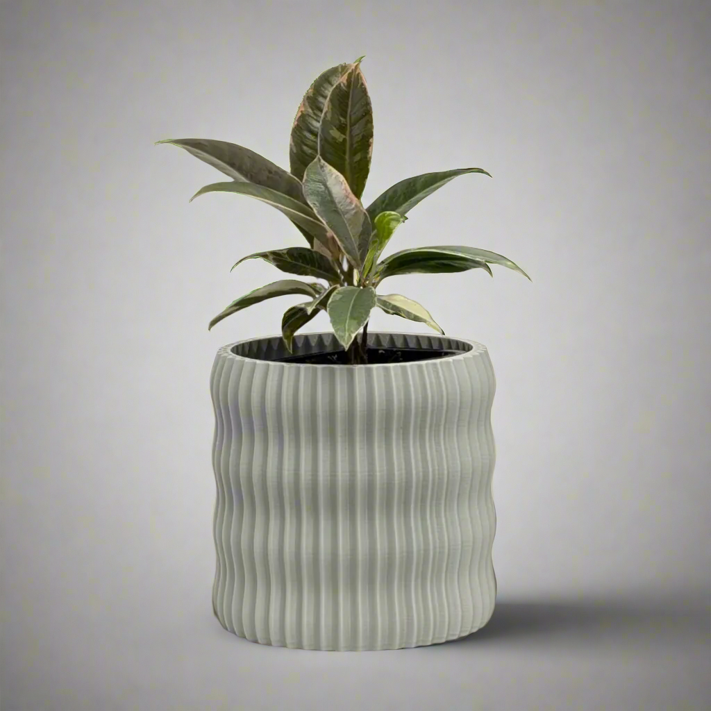 Rivo Planter