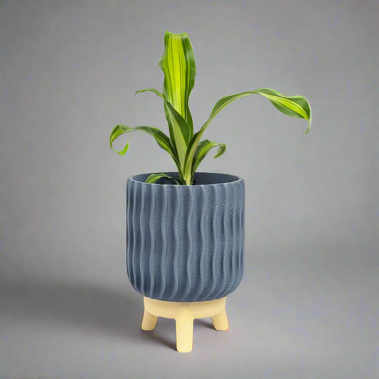 Varen  Planter