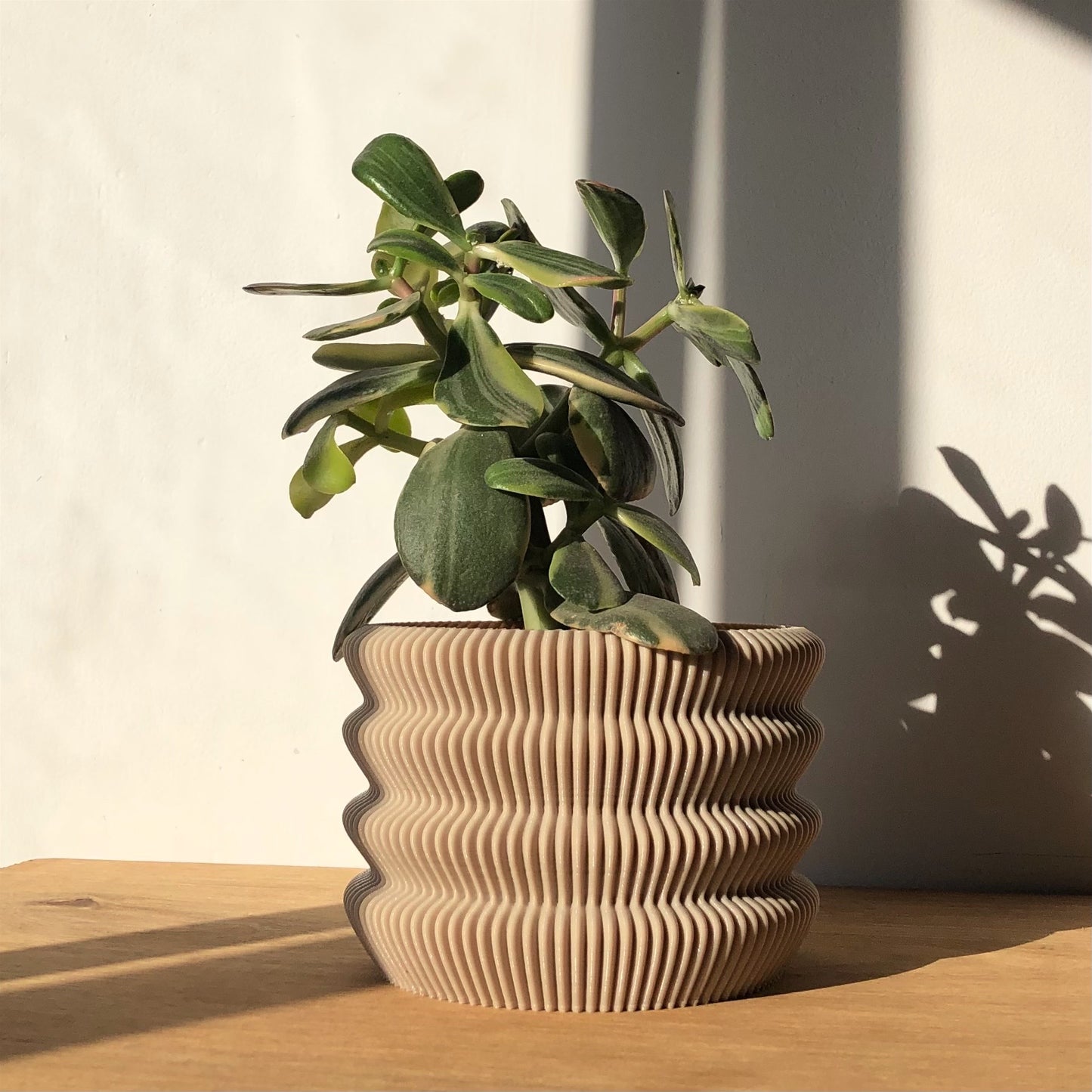 Capri Planter