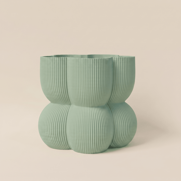 Caribe N°2 Planter