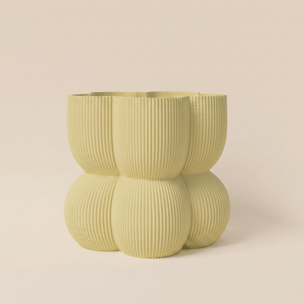 Caribe N°2 Planter