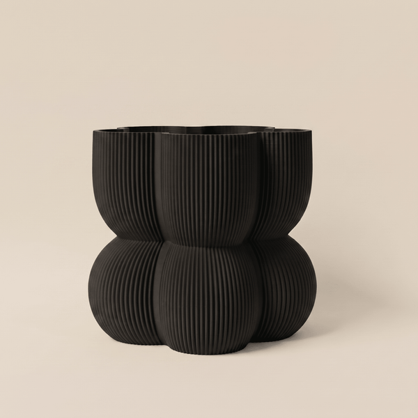 Caribe N°2 Planter