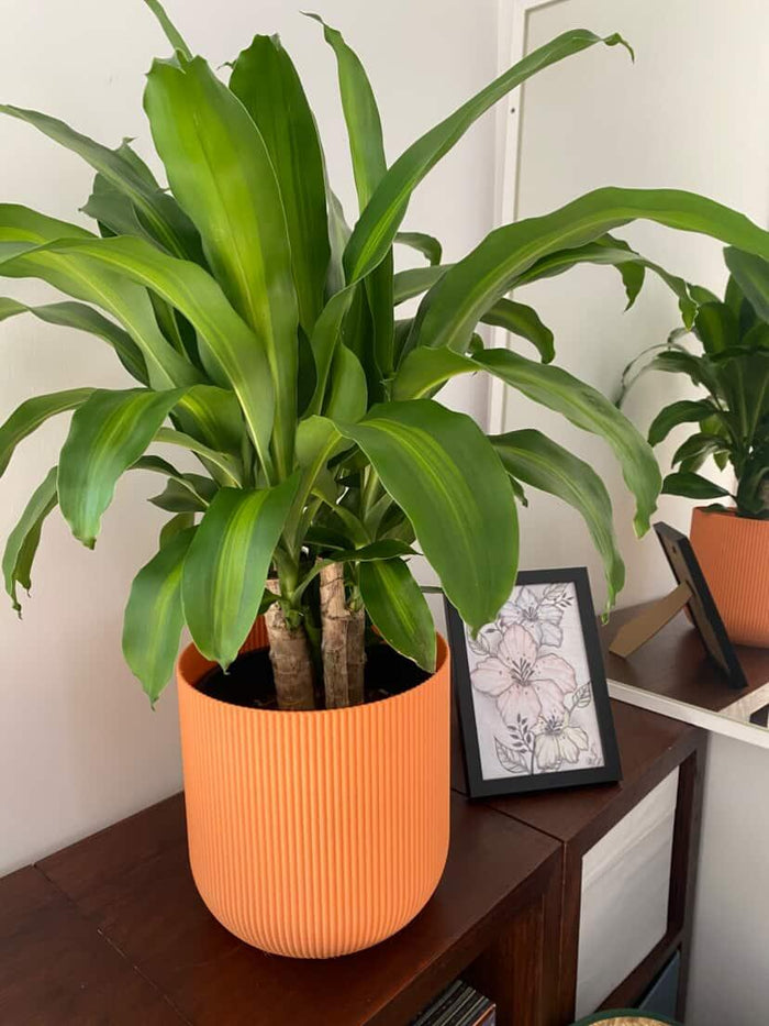 Forma Planter