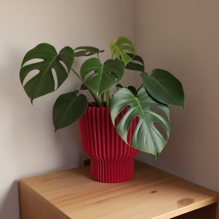 Elora Planter
