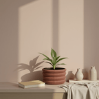 Capri Planter - Vessela