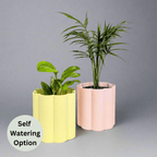 Flora Planter - Vessela