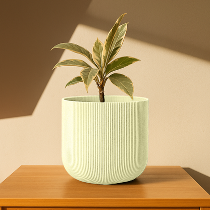 Big Forma Planter