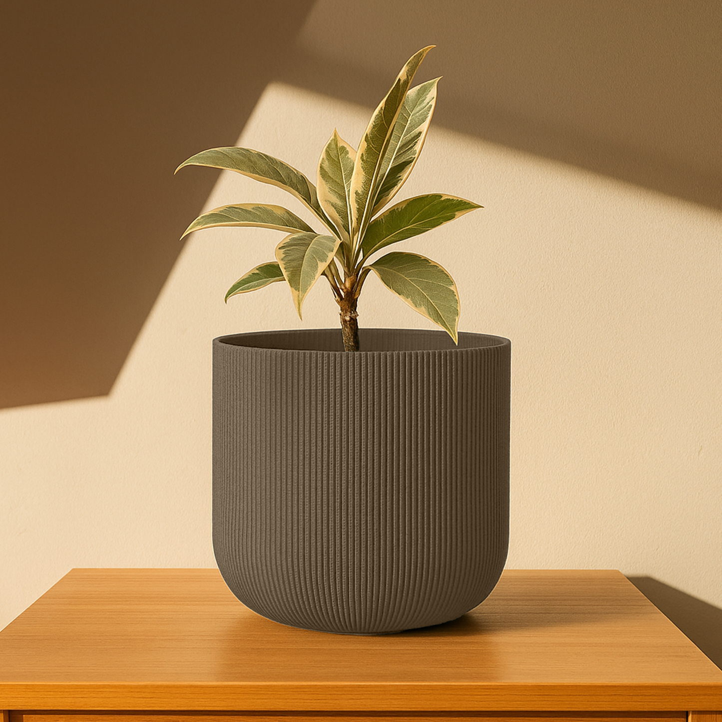 Big Forma Planter