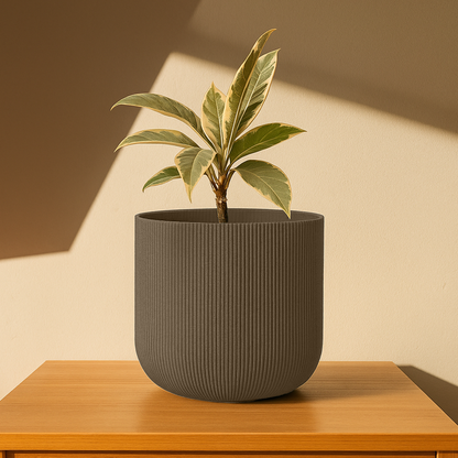 Big Forma Planter