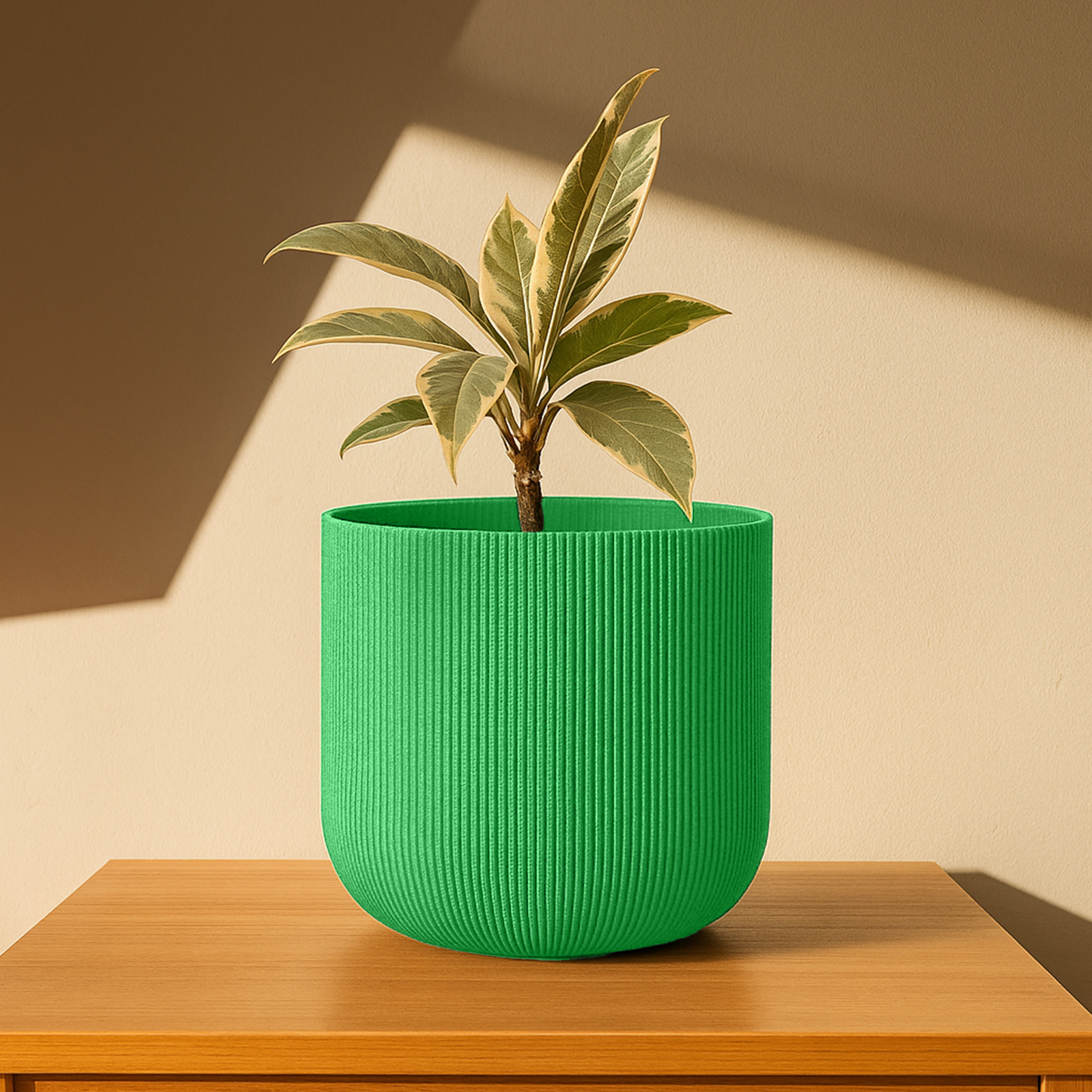 Big Forma Planter