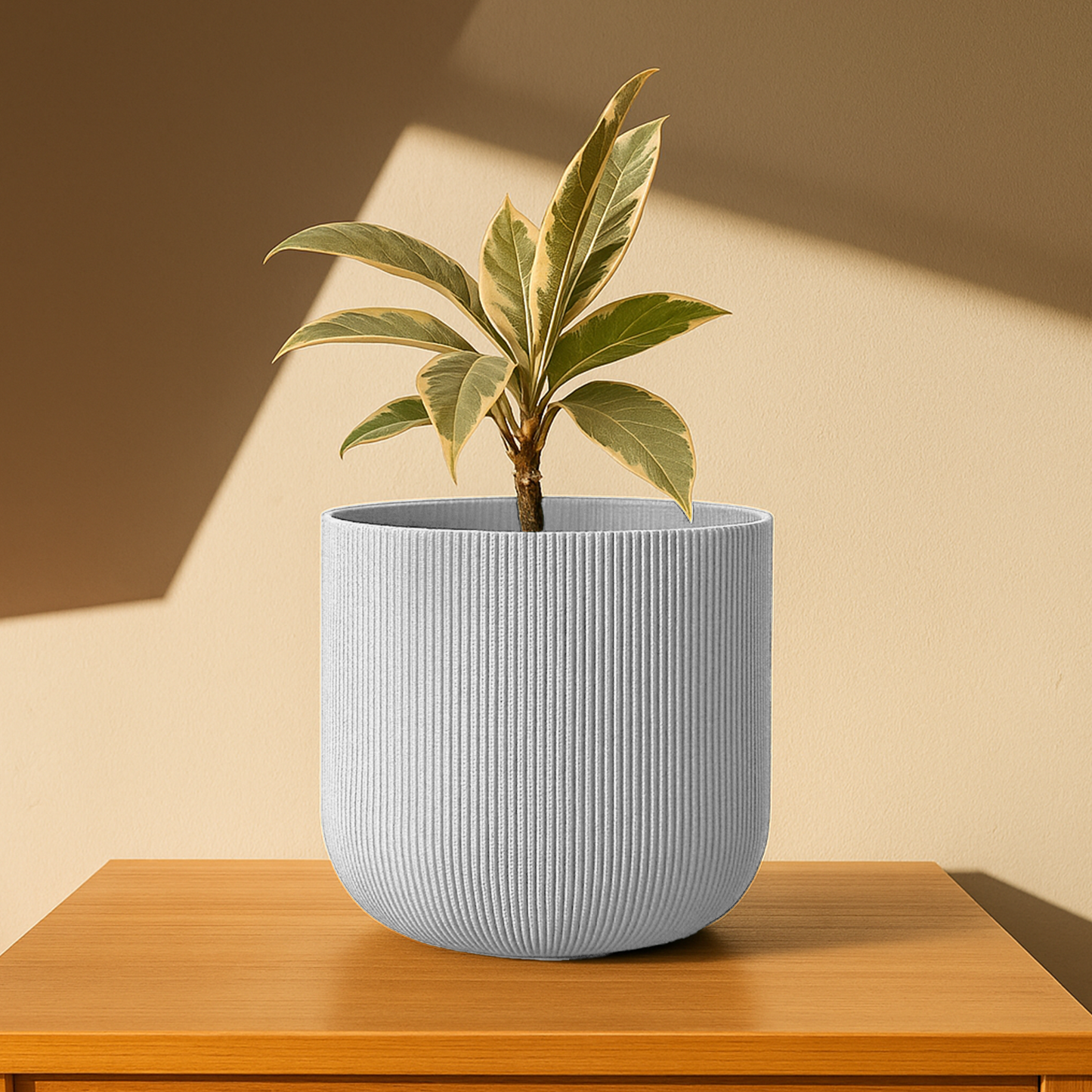 Big Forma Planter