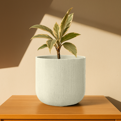 Big Forma Planter