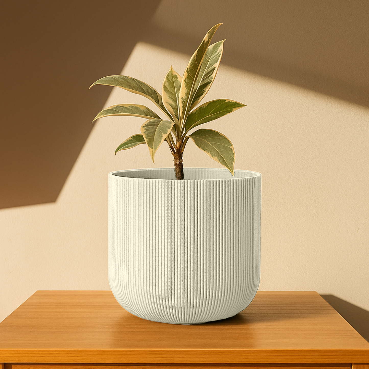 Big Forma Planter
