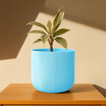 Big Forma Planter