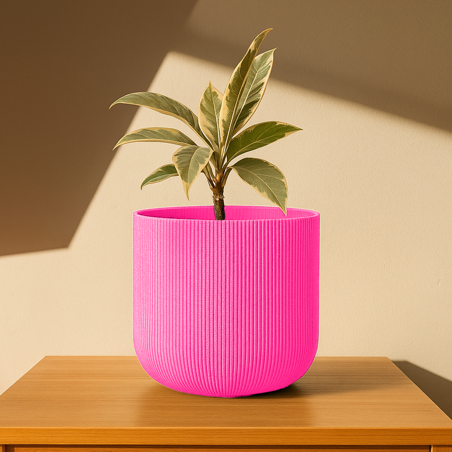 Big Forma Planter