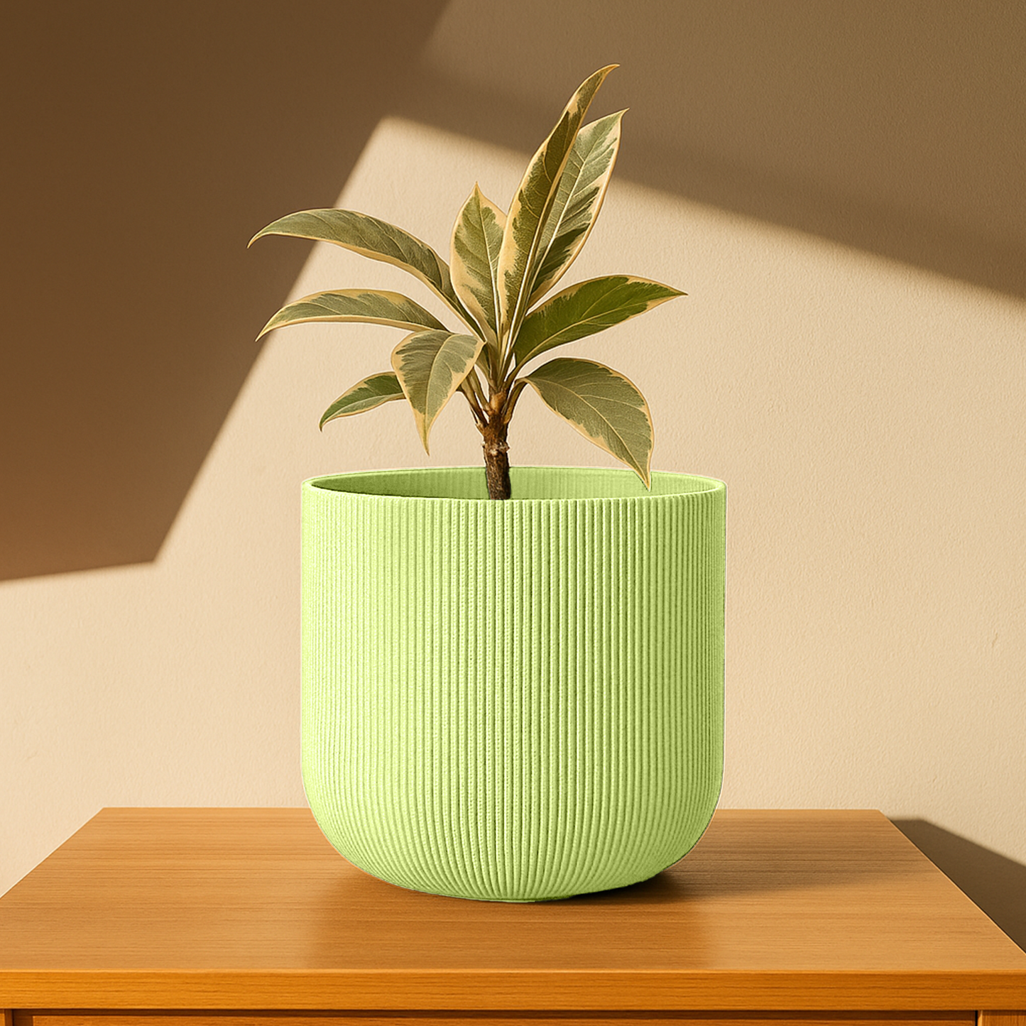 Big Forma Planter