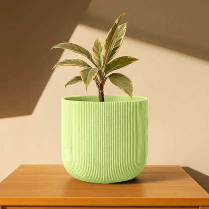 Big Forma Planter