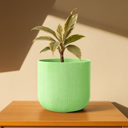 Big Forma Planter