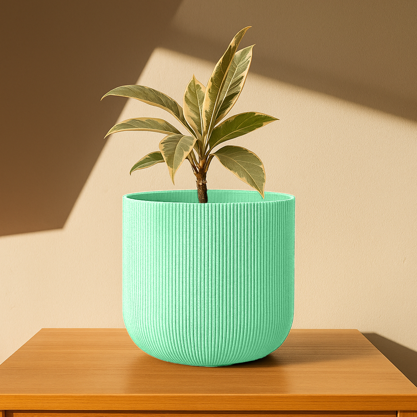 Big Forma Planter