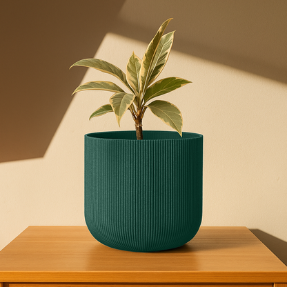 Big Forma Planter