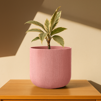 Big Forma Planter