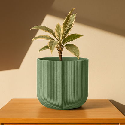 Big Forma Planter