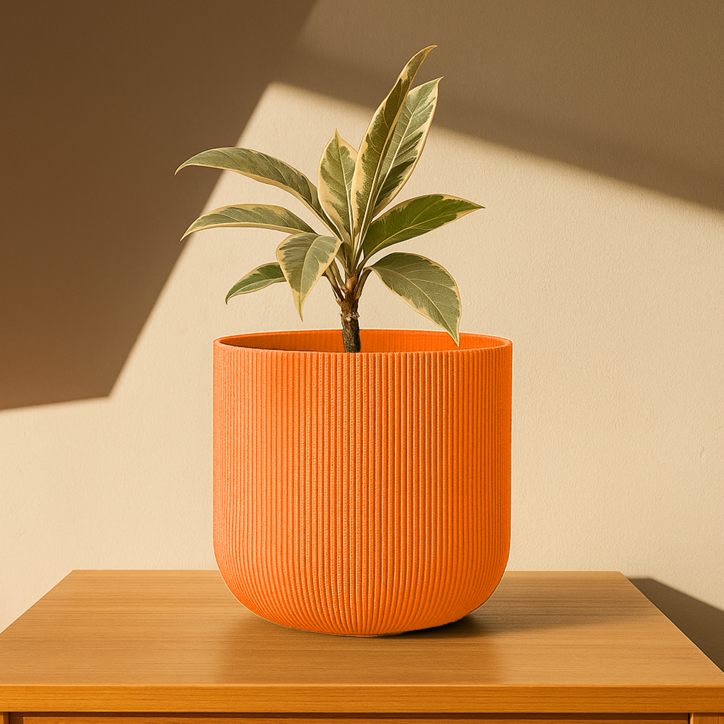 Big Forma Planter