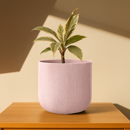 Big Forma Planter