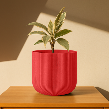 Big Forma Planter