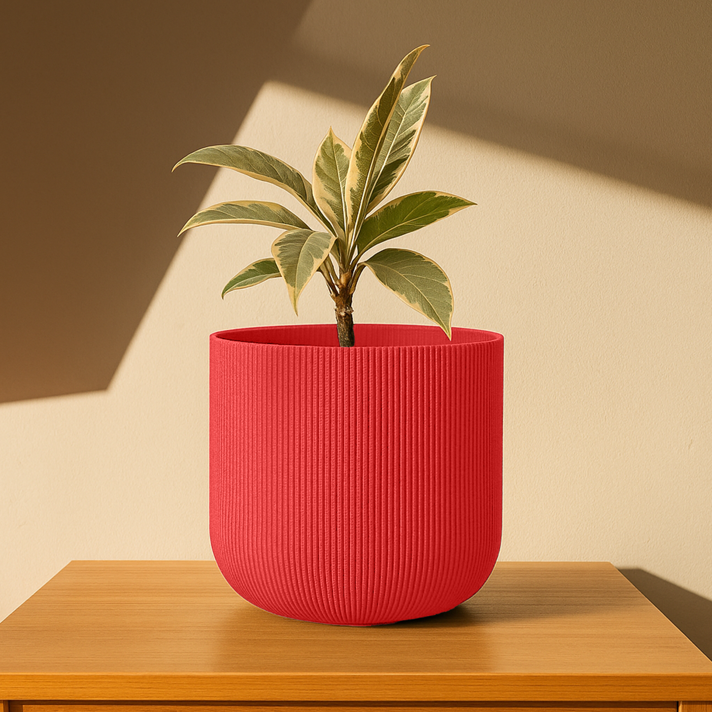 Big Forma Planter