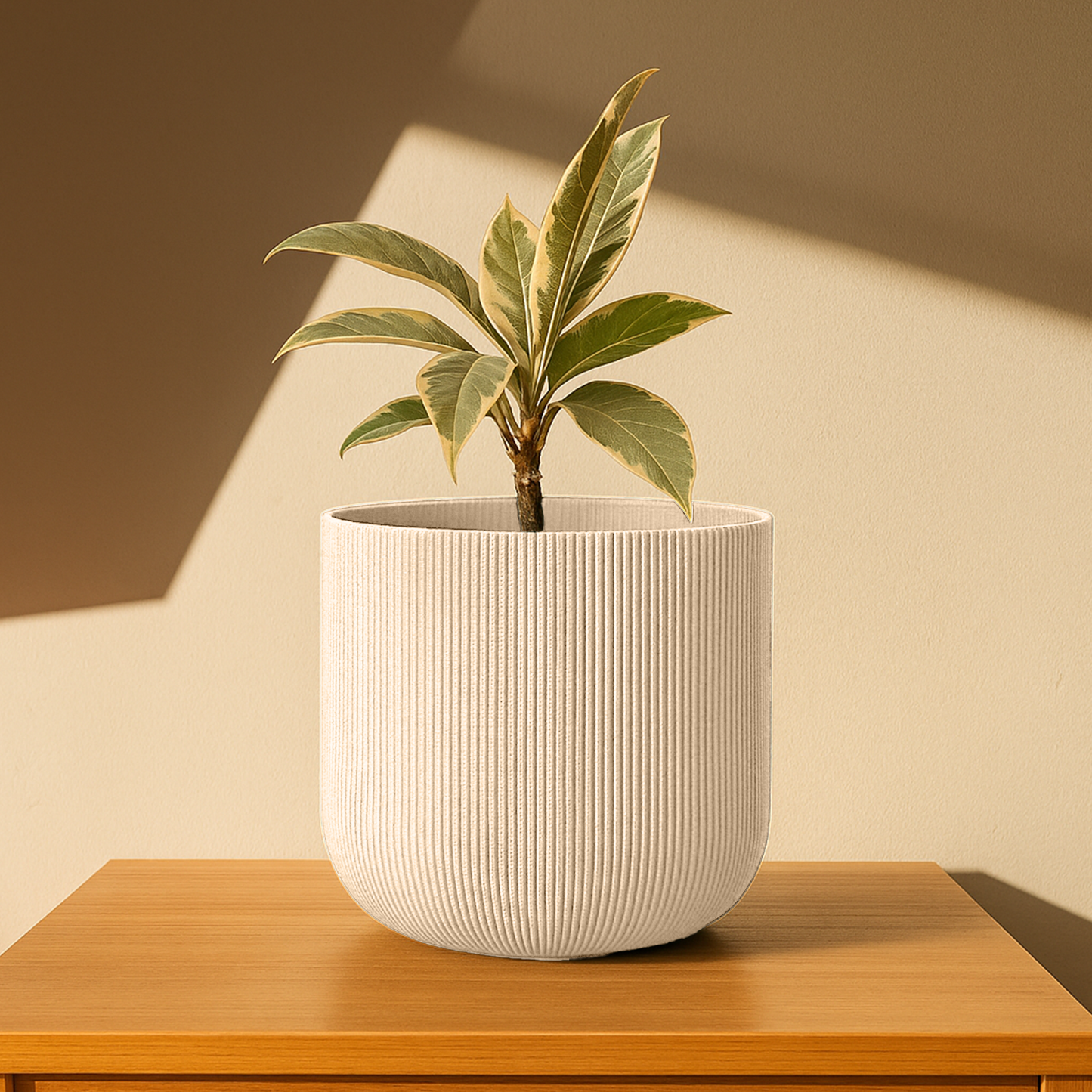 Big Forma Planter