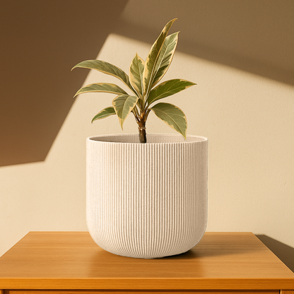 Big Forma Planter