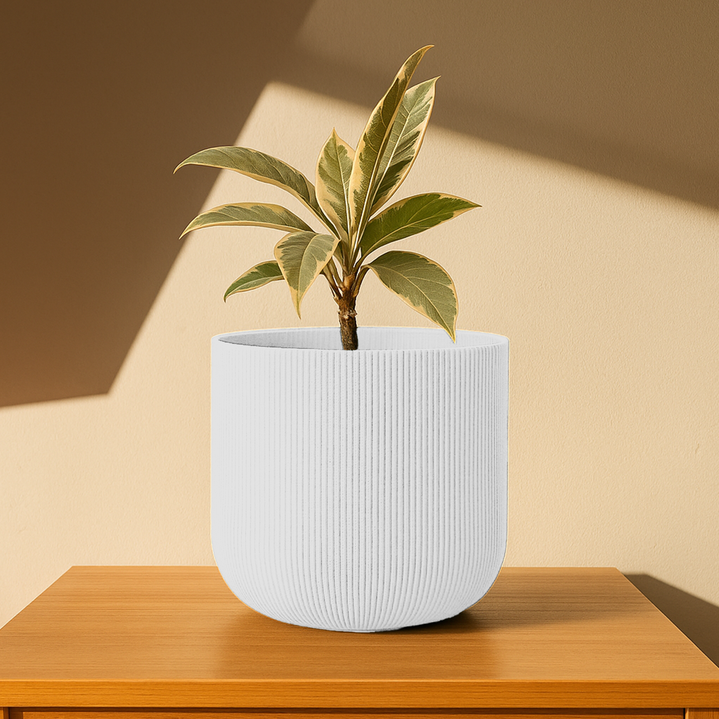 Big Forma Planter