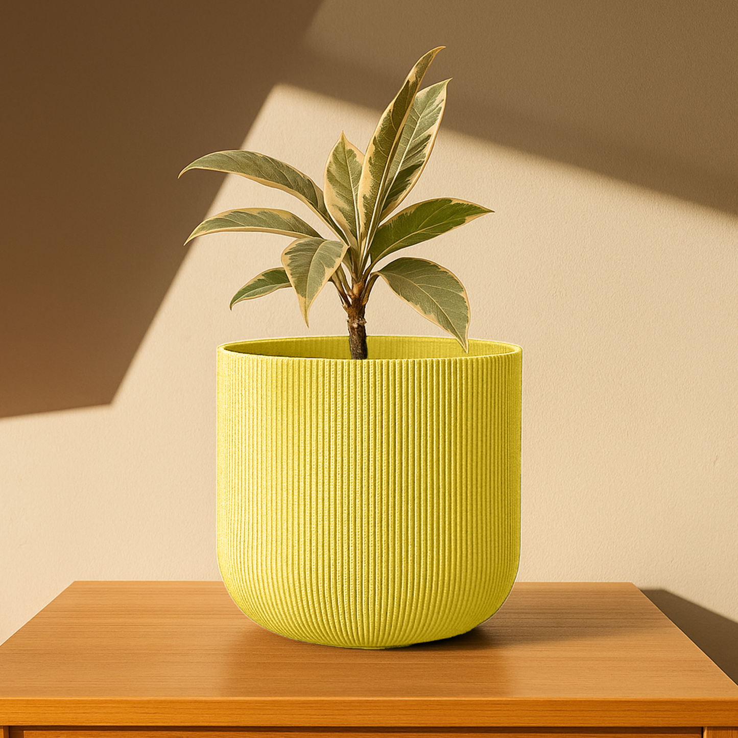 Big Forma Planter