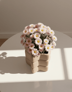 Star vase with a bold star-shaped silhouette and softly rounded edges, 3D printed in Australia - view 3