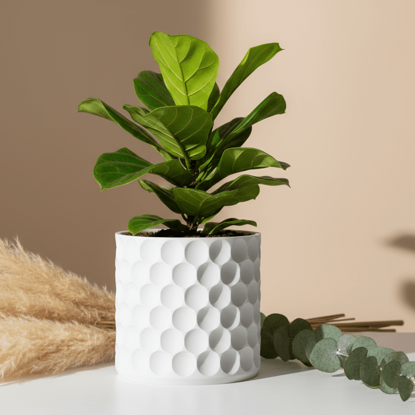 Hive Planter - Vessela