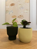 Rilla and Elora planter in different colours styled together
