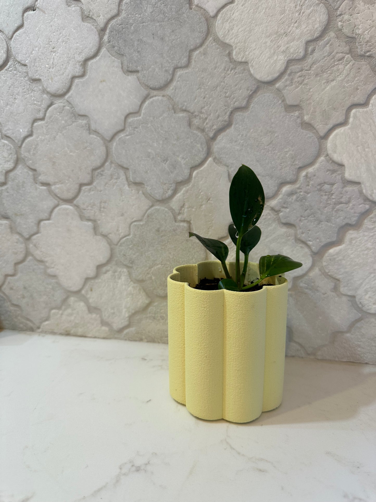 Flora Planter