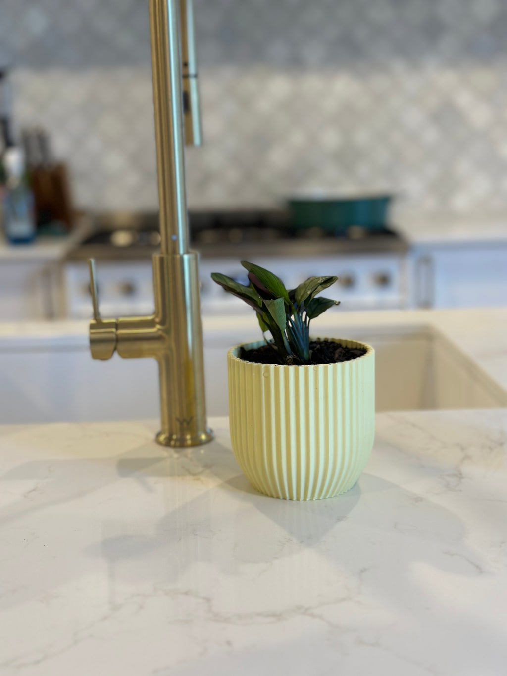 Rilla planter styled indoors with plant in neutral setting