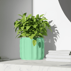Luma Planter - Vessela