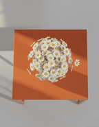 Malibu Vase - Vessela