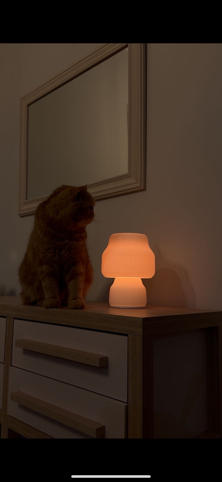 Capri Table Lamp - Vessela