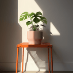 Niza Planter - Vessela