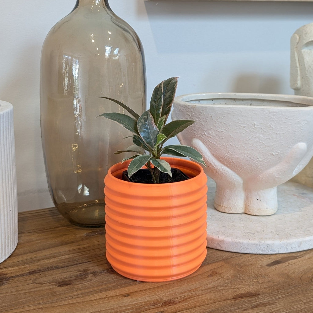 Orin Planter - Vessela