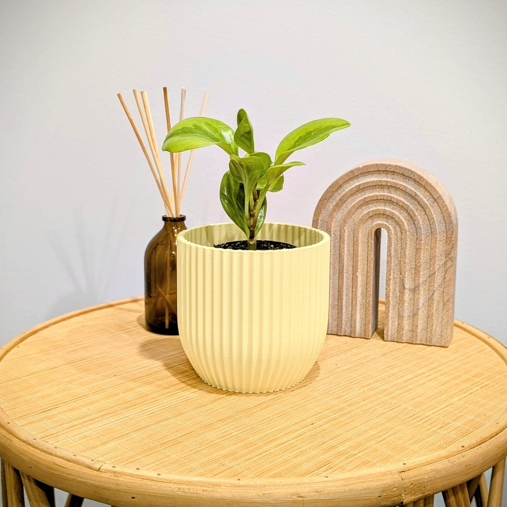Small Rilla planter with indoor plant on tabletop
