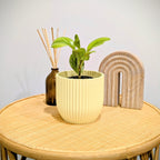 Small Rilla planter with indoor plant on tabletop